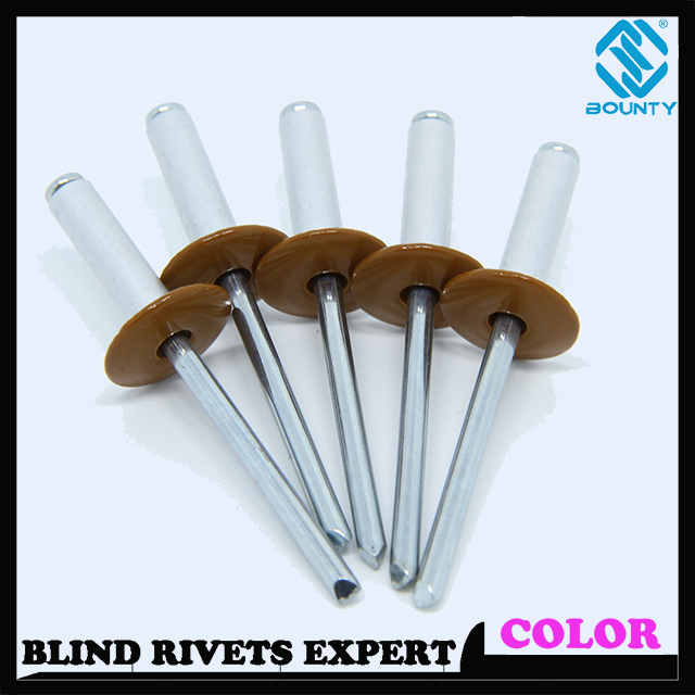 Painted Head Aluminum Alloy Colored Blind Rivets Buy PAINTED FLANGE